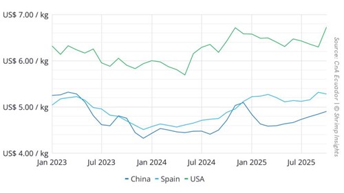 Average Export Value per Kilogram of Ecuador’s Shrimp to China, USA, and Spain (January 2023 – October 2025)